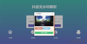 PHP抖音在线去水印抖音无水印视频解析源码-网站源码网