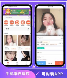PHP游戏陪玩平台源码美女约玩系统 WAP手机端自适应-网站源码网