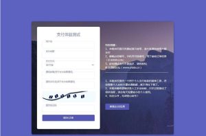 轻量级个人免签支付源码 微信支付宝收款支付手动审核邮件短信推送-网站源码网