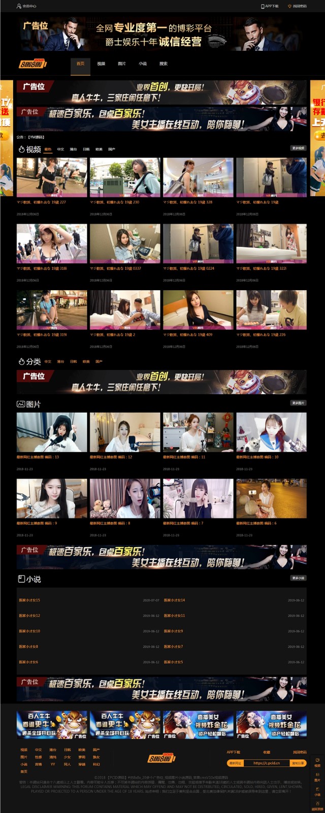 H站网站源码下载_带小说模块和图片自营式-网站源码网