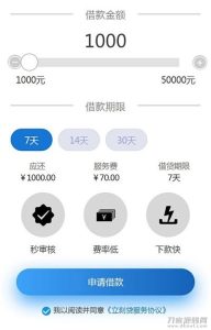 2021新款小额现金贷网络贷款系统源码 可打包成APP-网站源码网