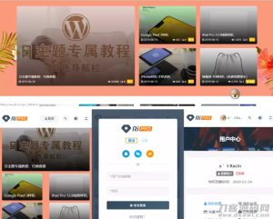 RiPro主题最新解锁去授权无限制版本(更新至8.7）-网站源码网