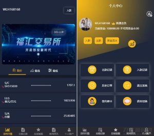 ThinkPHP二开福汇微盘源码+时间盘+K线采集-网站源码网