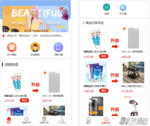 完美版积分商城系统-奇偶商城系统源码+独立代理后台-网站源码网