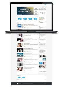 WordPress博客SEO自媒体资讯主题模板RabbitV2.0-网站源码网