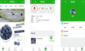 PHP微信拼团购物商城小程序源码-网站源码网
