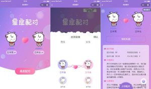 恋爱星座男女配对微信小程序源码-网站源码网