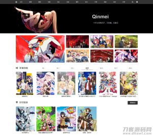 国人原创功能强大wordpress视频主题/qinmeiV3.0主题-网站源码网