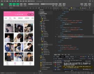 多套头像/壁纸/背景图资源微信小程序源码 粉色UI 带流量主-网站源码网