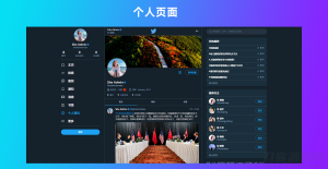 仿Twitter源代码 社交网络源码 基于脉聊二开版本 带详细安装视频-网站源码网
