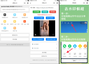 自带多平台解析接口短视频去水印图集水印小程序源码下载-网站源码网