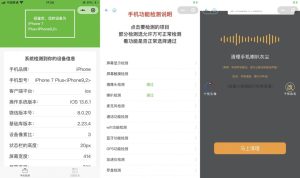 升级版手机检测微信工具小程序源码-支持多种流量主模式-网站源码网
