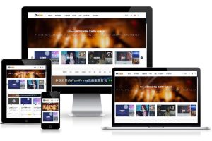 ripro9.0修正升级版+WP两款美化包+稀有插件-网站源码网