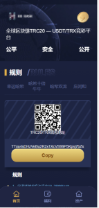 哈希竞猜源码-支持四种玩法-网站源码网