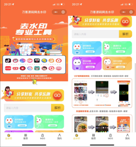 2022最新版去水印小程序源码-网站源码网