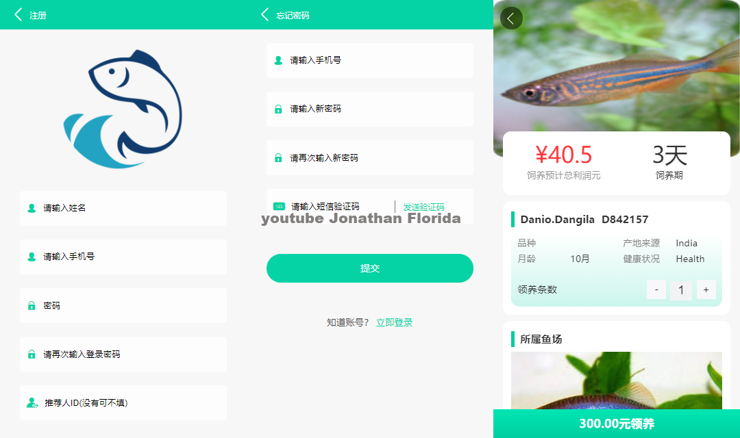 图片[2]-养鱼金融投资理财源码 支持商城 抽奖 投资收益余额宝等！ 双语言支持中英文-网站源码网