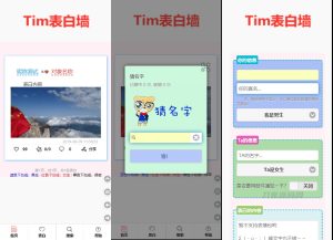 TIM校园学校表白墙系统源码-网站源码网