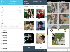 微头像 v2.1.8版全套iApp源码-网站源码网