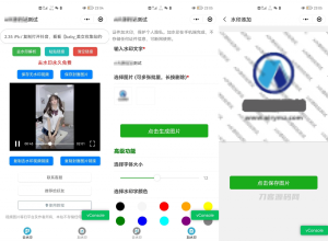 简约短视频去水印加图片多样化加水印微信小程序源码下载支持多流量主-网站源码网