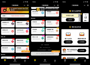 黑色简约多功能工具箱去水印外卖流量主小程序源码-网站源码网