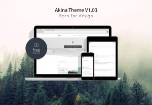 极简主题Akina WordPress主题-网站源码网