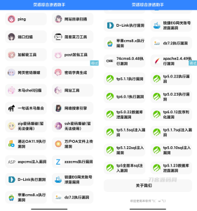 荧惑网站渗透源码 IAPP-网站源码网