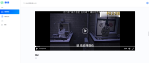 BGS本地局域网视频系统源码-网站源码网
