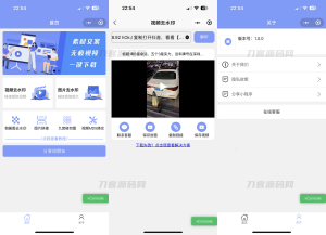 2023新版 多功能去水印工具微信小程序源码_带流量主功能-网站源码网
