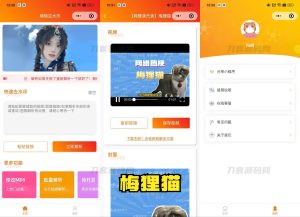 2023去水印小程序源码修复版-前端后端内置接口+第三方接口-网站源码网