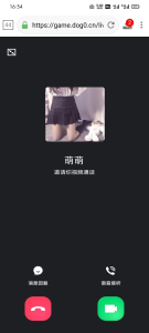 2023新版视频通话照妖镜 多模板-网站源码网