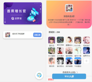 WordPress开发进群V2主题源码，多种引流方法，引私域二次变现-网站源码网
