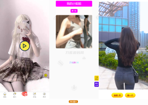 五套随机小姐姐短视频引流网站源码+最新API-网站源码网