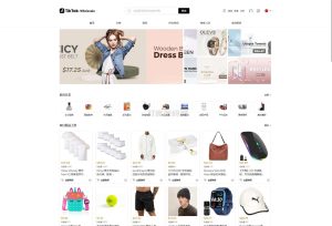 全开源TikTok跨境商城源码/TikTok内嵌商城+搭建教程/前端uniapp+后端-网站源码网