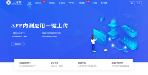 全开源仿第八区H5APP封装打包分发系统源码-网站源码网