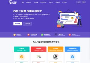 2025修复版 仿第八区APP分发系统源码 | 免签封装+多端打包 | 支持安卓/IOS/EXE分发+企业签名-网站源码网