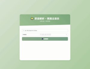 扣扣网易音乐解析UI模版 自适应双端-网站源码网