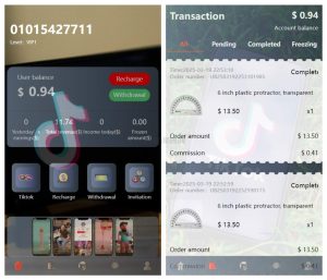 新版本海外tiktok多语言抢单系统源码/带文本搭建教程-网站源码网
