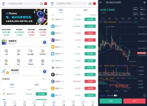 Phemex多语言交易所源码/期权交易+合约交易+新币申购+锁仓挖矿+平台币发行+K线行情控制/前端uniapp编译后+后端PHP-网站源码网