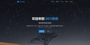 SEO站群系统源码 免授权版 单页关键词排名网站源码-网站源码网