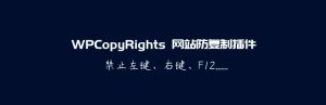 WPCopyRights - 网站防复制WordPress插件-网站源码网