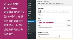 WordPress高级SEO插件Yoast SEO Premium v11.8专业版破解 也100%中文汉化-网站源码网