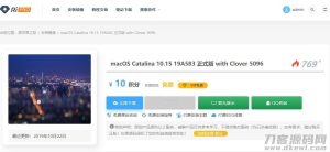 wordpress主题Ripro下载信息美化插件-网站源码网