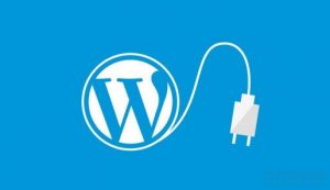 WordPress无名氏全站缓存加速插件-网站源码网