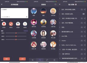 安卓专业变声器v4.2绿化版-网站源码网