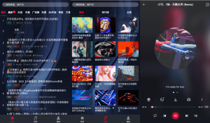 DJ秀v4.5.7 解锁会员SQ无损音质铃声-网站源码网