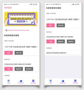 抖音短视频背景音乐解析下载工具-网站源码网