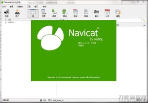 Navicat_for_mysql_V11.0.10企业版绿色中文版-网站源码网