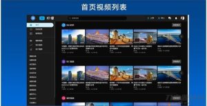 精美柠檬视频网站源码带前后端带app源码-附视频教程-网站源码网