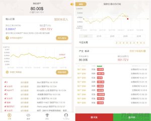 【白色新版币圈】完美运行美元币圈+安装教程+[已接支付]源码-网站源码网
