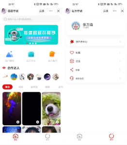 抖音取图表情包小程序+创作者入驻+流量主-网站源码网